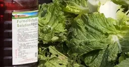 “甲醛白菜”十四年后再现：食品安全为何还要靠曝光？